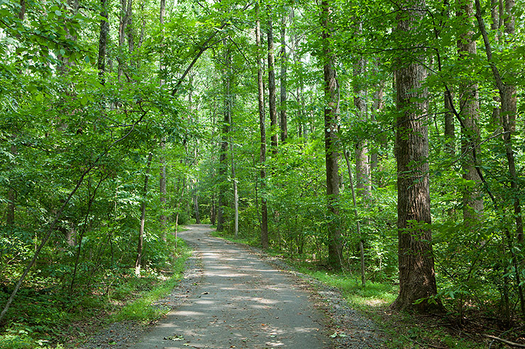 Turquoise Trail in Reston, Virginia