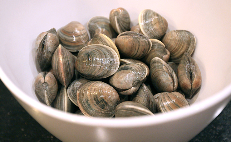 Clams Oysters And Mussels Are Now In Season