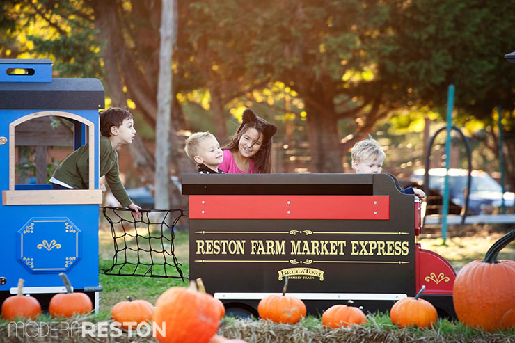 Reston-Farm-Market-train-ride