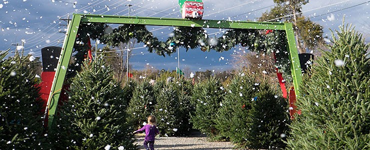 Cox Farms Christmas Winter Wonderland in Centreville, Virginia