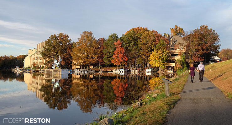 Reston Virginia fall foliage Lake Thoreau