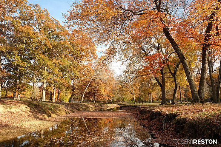 Reston Virginia fall foliage Lake Fairfax Park