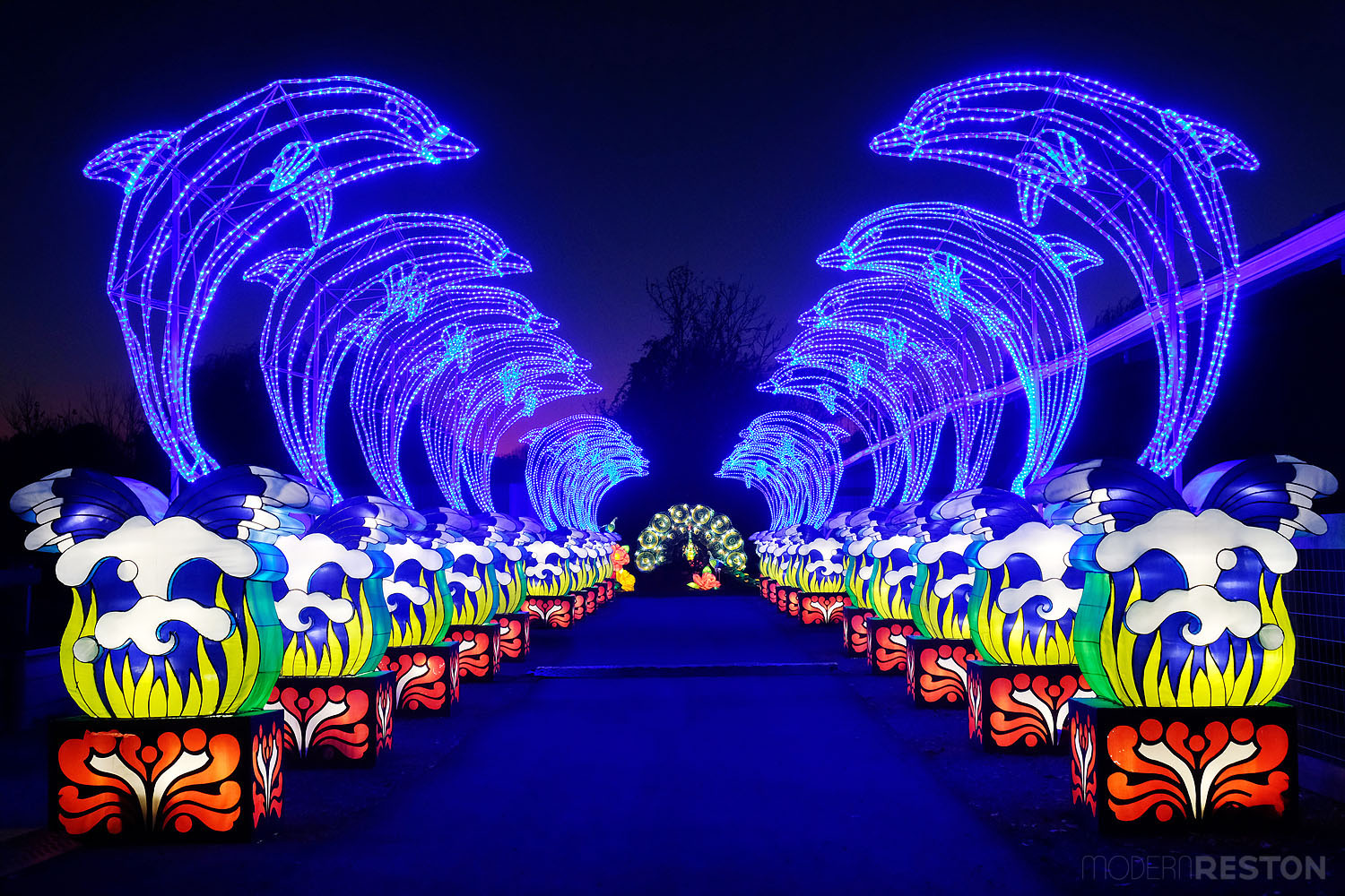 chinese-lantern-festival-roers-zoofari-reston-03