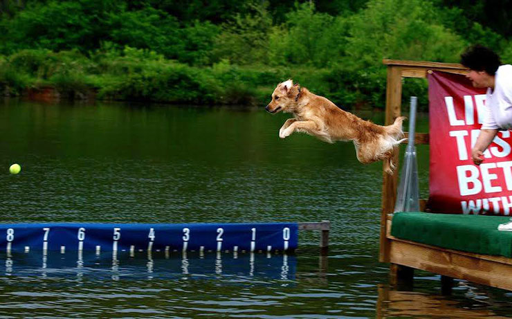 Chesapeake-Dock-Dogs