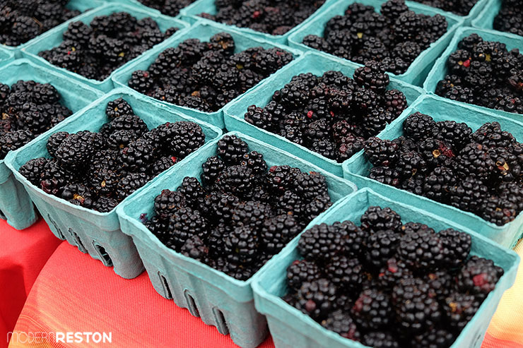Reston-Farmers-Market-blackberries