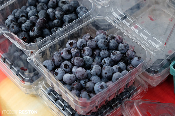 Reston-Farmers-Market-blueberries